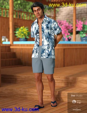 3D打印模型dForce Poolside Oahu Outfit for Genesis 8 Male(s)的图片