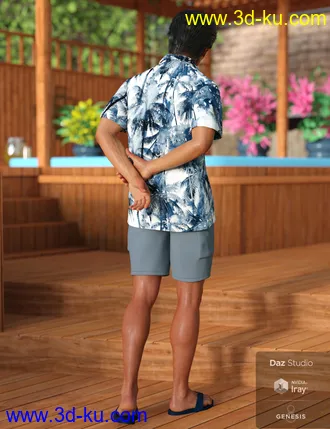 3D打印模型dForce Poolside Oahu Outfit for Genesis 8 Male(s)的图片