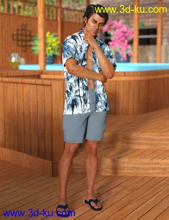 3D打印模型dForce Poolside Oahu Outfit for Genesis 8 Male(s)的图片