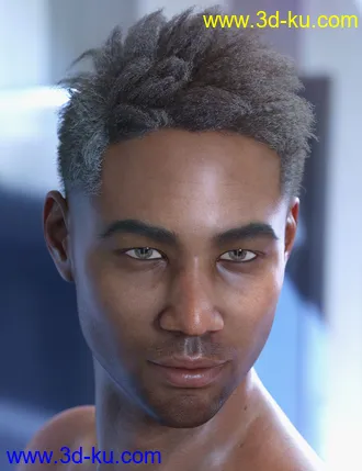 3D打印模型dForce Saul Hair for Genesis 8的图片