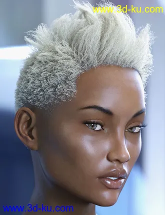 3D打印模型dForce Saul Hair for Genesis 8的图片