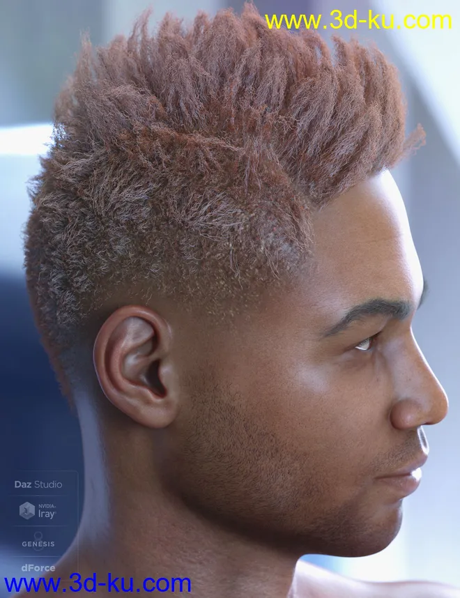 dForce Saul Hair for Genesis 8模型的图片3