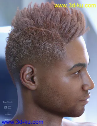 3D打印模型dForce Saul Hair for Genesis 8的图片