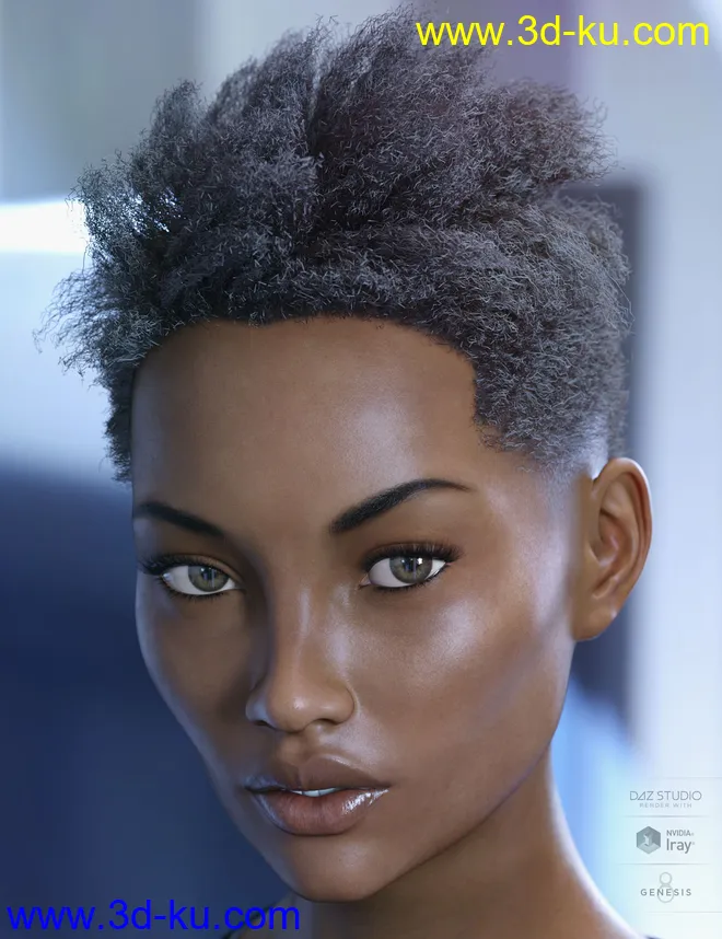 dForce Saul Hair for Genesis 8模型的图片5