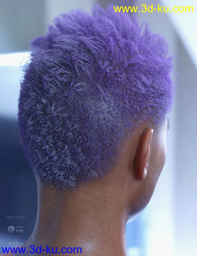 dForce Saul Hair for Genesis 8模型的图片10