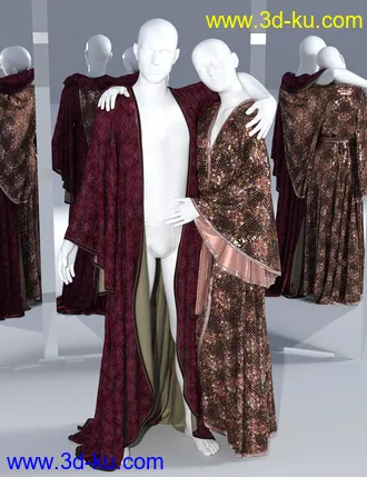 3D打印模型dForce SsR Art Drape Robe for Genesis 3 and 8的图片
