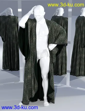 3D打印模型dForce SsR Art Drape Robe for Genesis 3 and 8的图片