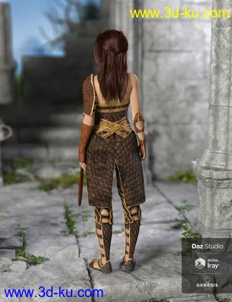 3D打印模型dForce Warrior Amazonia Outfit for Genesis 8 Female(s)的图片