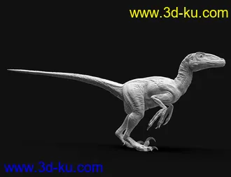 3D打印模型Dinosaurs Series - Deinonychus by AMLM的图片