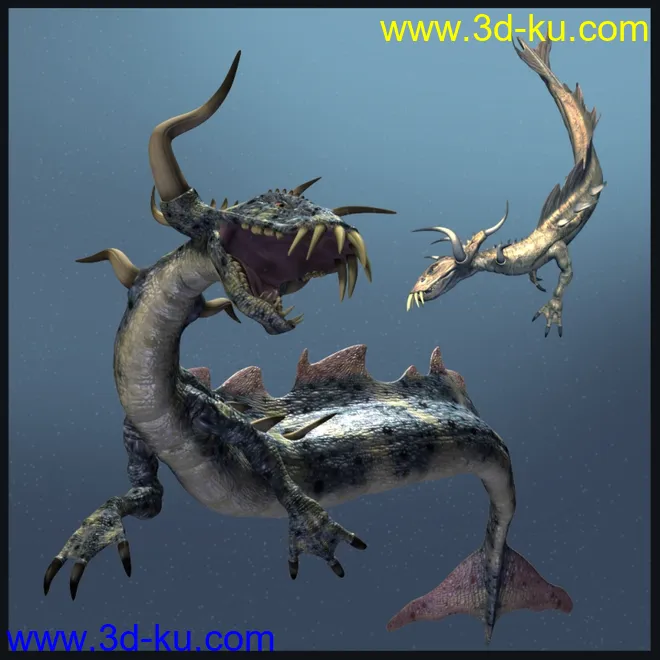 Draccer DR模型的图片1