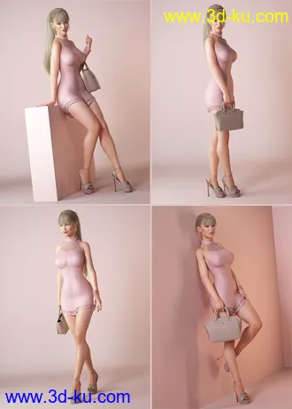 3D打印模型DressUp Collection Outfits and Poses for Genesis 8 Female的图片