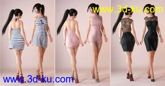 3D打印模型DressUp Collection Outfits and Poses for Genesis 8 Female的图片