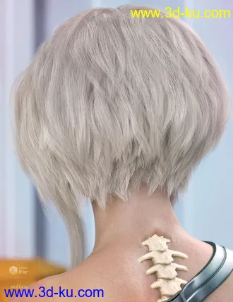 3D打印模型Ellisea Hair for Genesis 3 & 8 Female(s)的图片