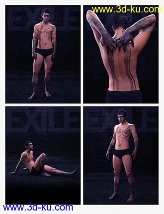 3D打印模型Exile Poses for Nix 8 and Genesis 8 Male的图片