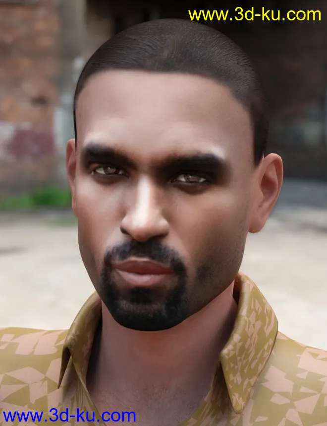 Face Transfer Shapes for Genesis 8模型的图片5