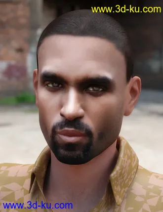 3D打印模型Face Transfer Shapes for Genesis 8的图片