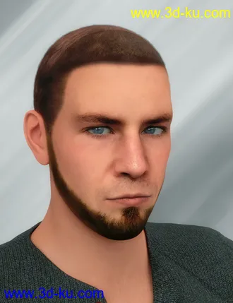 3D打印模型Face Transfer Shapes for Genesis 8的图片
