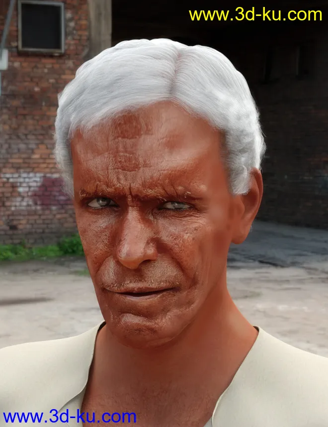 Face Transfer Shapes for Genesis 8模型的图片11