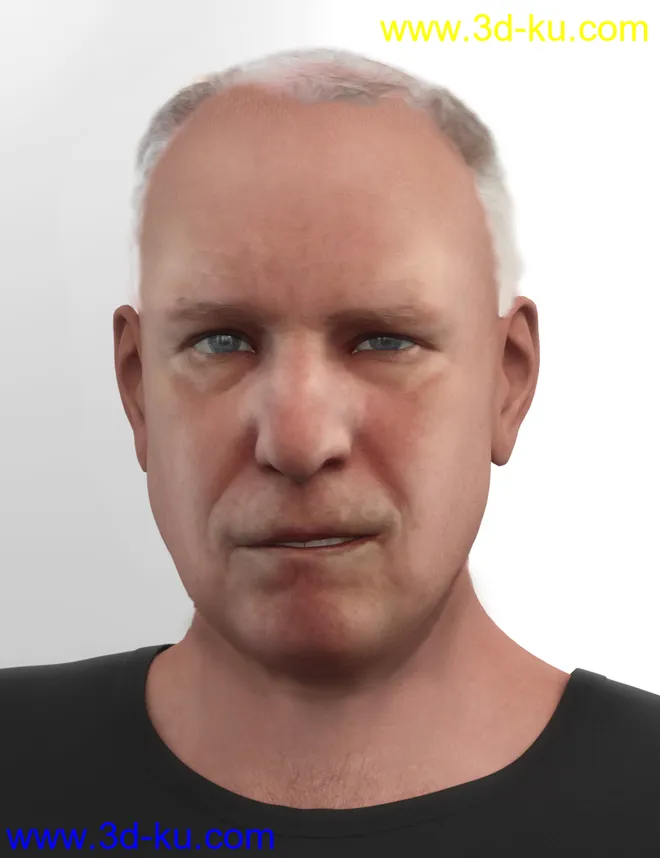 Face Transfer Shapes for Genesis 8模型的图片17
