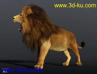 3D打印模型Felidae by AM - Lion的图片