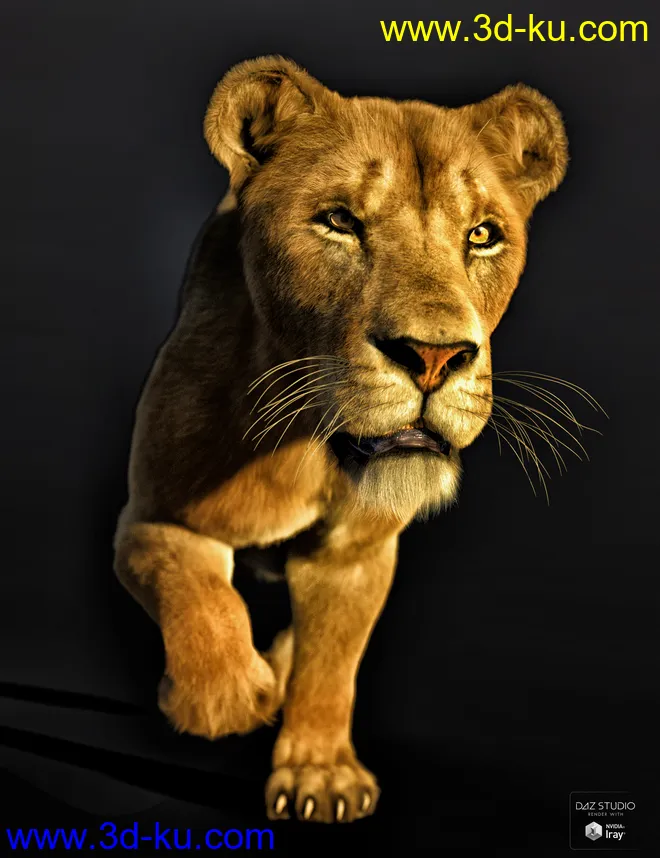 Felidae by AM - Lion模型的图片3