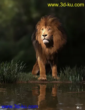 3D打印模型Felidae by AM - Lion的图片