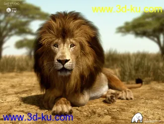 3D打印模型Felidae by AM - Lion的图片