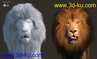 3D打印模型Felidae by AM - Lion的图片