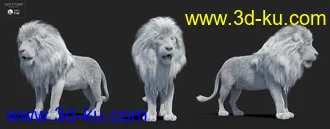 3D打印模型Felidae by AM - Lion的图片