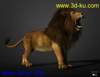 3D打印模型Felidae by AM - Lion的图片