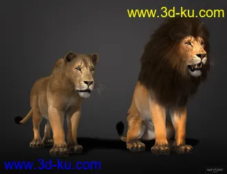 3D打印模型Felidae by AM - Lion的图片