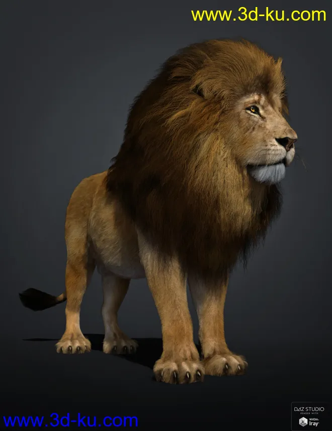 Felidae by AM - Lion - dForce Addon模型的图片2