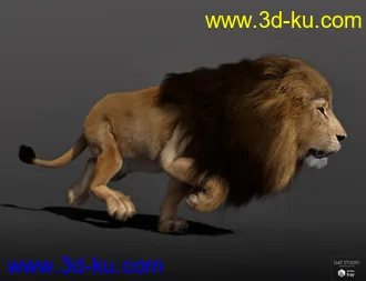 3D打印模型Felidae by AM - Lion - dForce Addon的图片