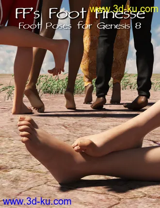 3D打印模型FeralFey's Foot Finesse Poses for Genesis 8的图片