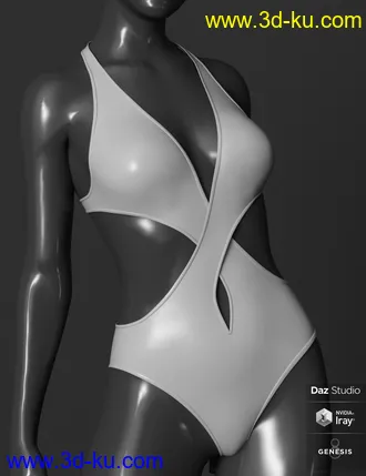 3D打印模型Fifty Fifty Swimwear for Genesis 8 Female(s)的图片