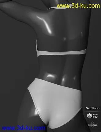 3D打印模型Fifty Fifty Swimwear for Genesis 8 Female(s)的图片