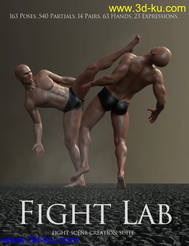 Fight Lab - Poses and Expressions for Genesis 8 Male模型的图片1