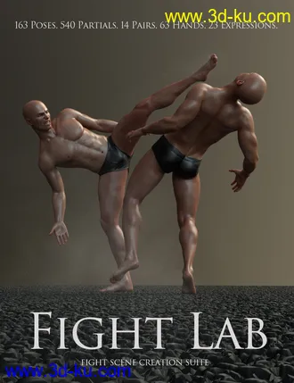 3D打印模型Fight Lab - Poses and Expressions for Genesis 8 Male的图片