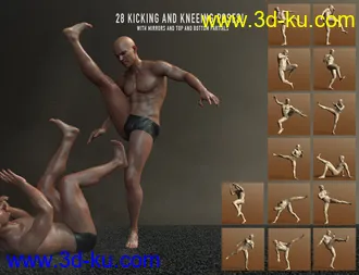 3D打印模型Fight Lab - Poses and Expressions for Genesis 8 Male的图片