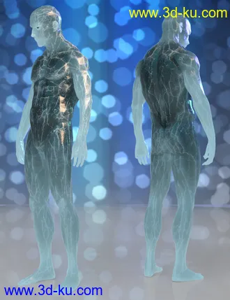 3D打印模型Frosty and the Matchstick Man HD for Genesis 8 Male(s)的图片