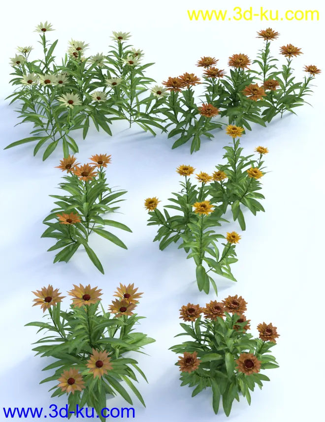 Garden Flowers Vol 1 - Herbs模型的图片4