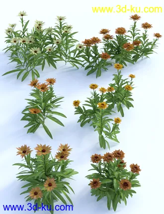 3D打印模型Garden Flowers Vol 1 - Herbs的图片