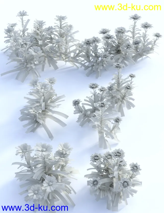 Garden Flowers Vol 1 - Herbs模型的图片5