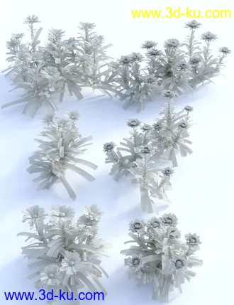 3D打印模型Garden Flowers Vol 1 - Herbs的图片