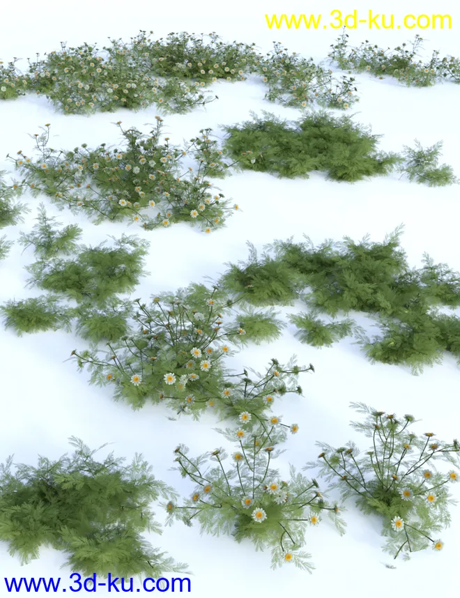 Garden Flowers Vol 1 - Herbs模型的图片6