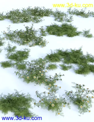 3D打印模型Garden Flowers Vol 1 - Herbs的图片