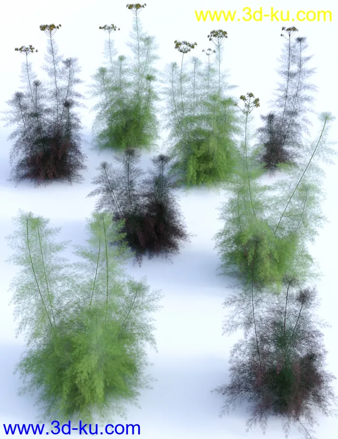 Garden Flowers Vol 1 - Herbs模型的图片8
