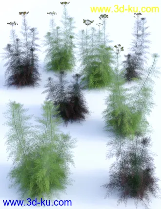 3D打印模型Garden Flowers Vol 1 - Herbs的图片