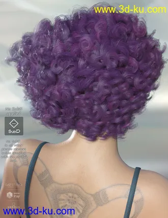 3D打印模型Gizelle Hair for Genesis 3 & 8 Female(s)的图片