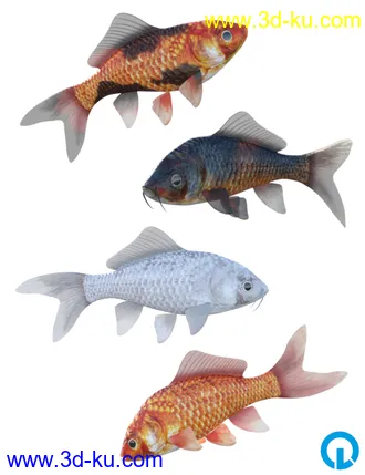3D打印模型Goldfish and Props的图片